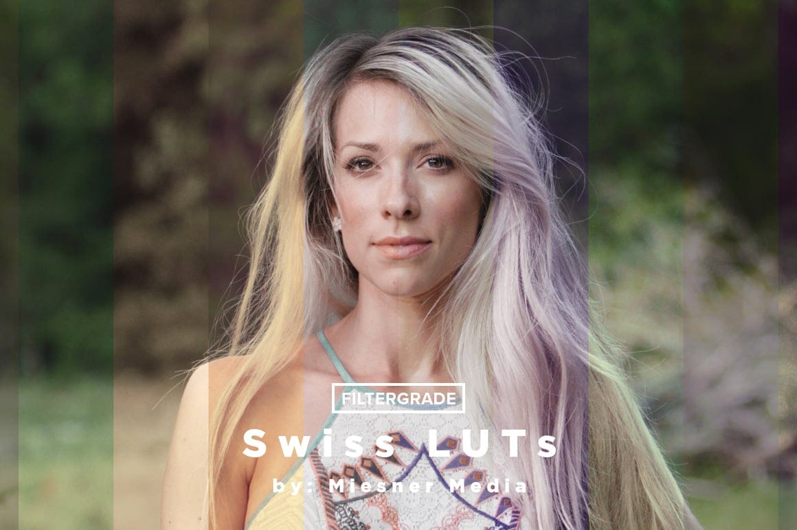 Theo Miesner Swiss Video LUTs