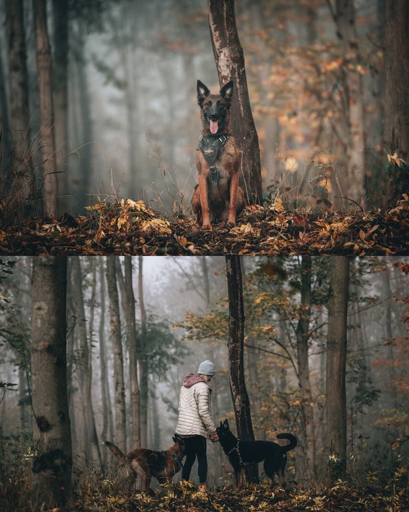 MOOD 10 Lightroom Presets