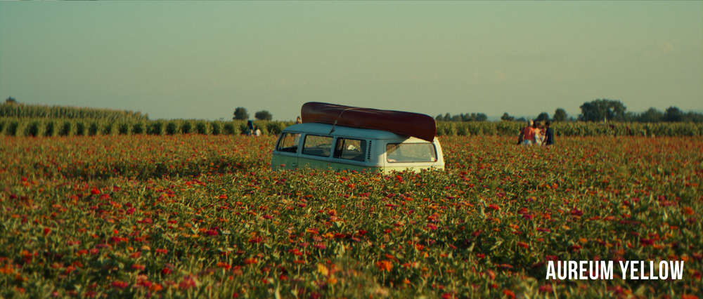 Sunset Film LUT Pack (1)